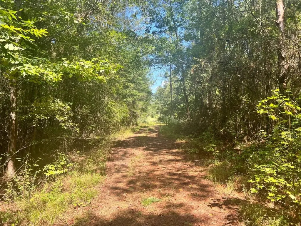 Picture 21
