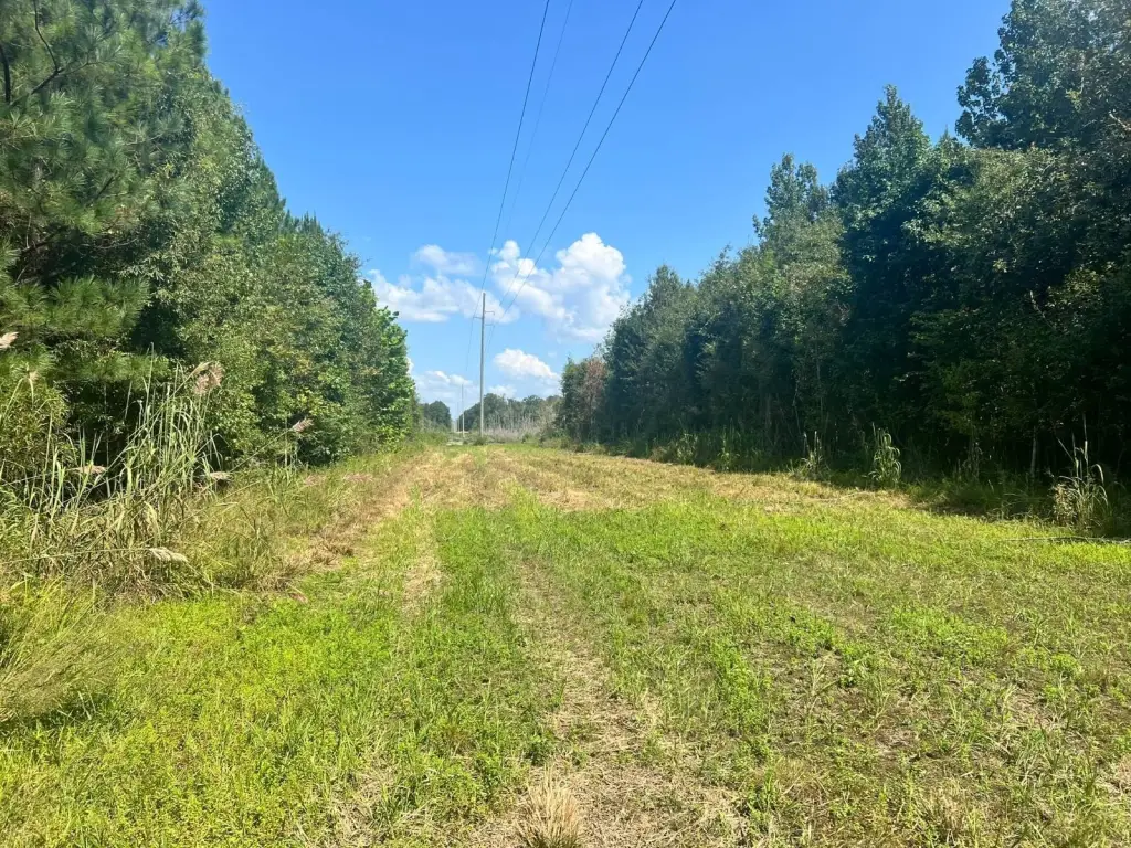 Picture 26