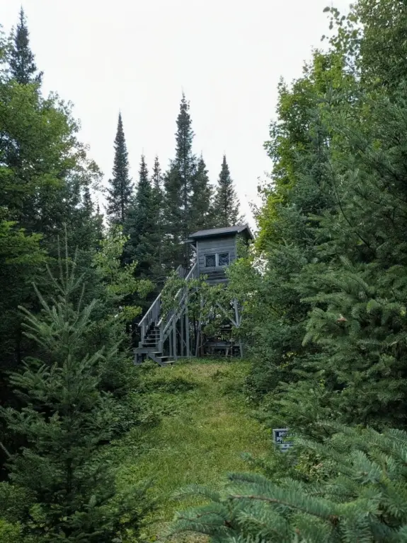 Picture 7