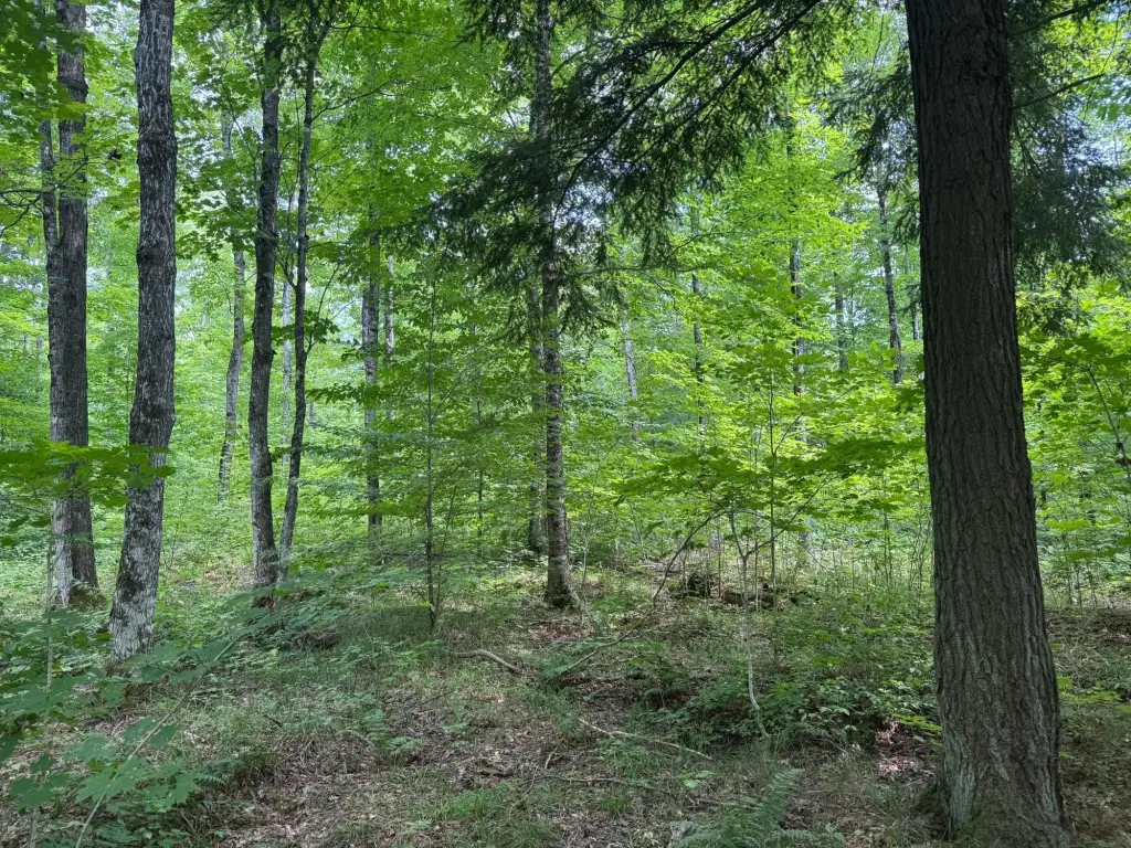 Picture 4