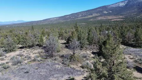 Land with Mountain Views