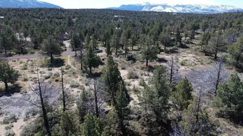 Land with Mountain Views