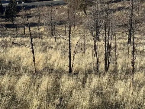 Sloping Lot with Lake Views