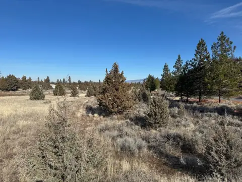 Level Lot in Weed, CA