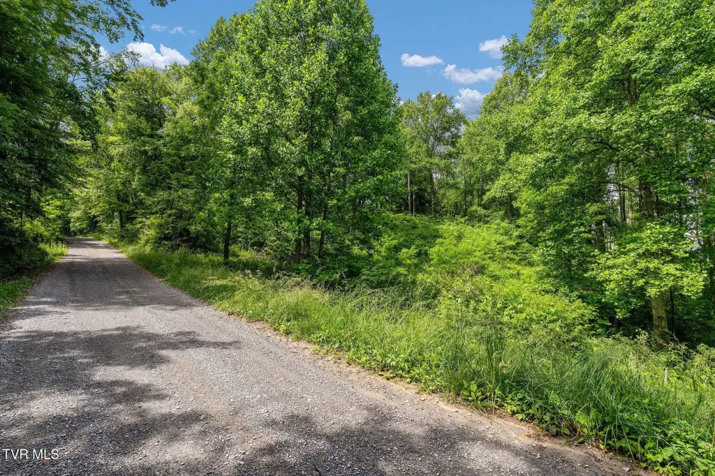 Picture 28
