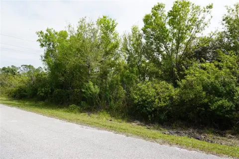 Punta Gorda Acreage Homesite