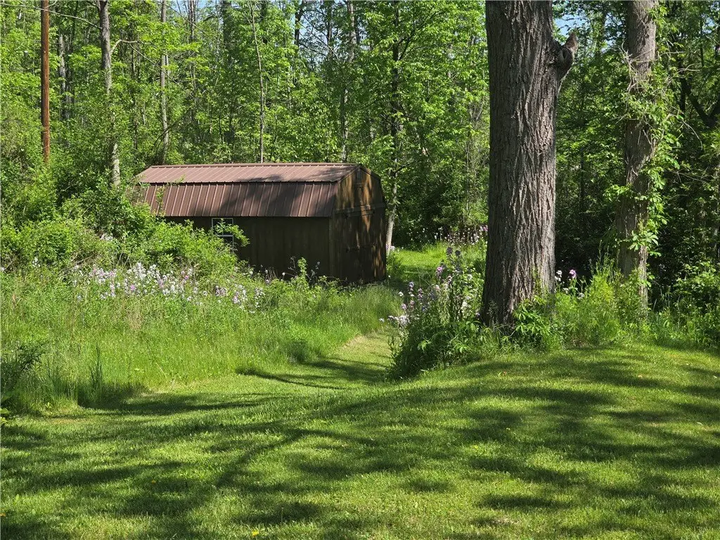 Picture 33