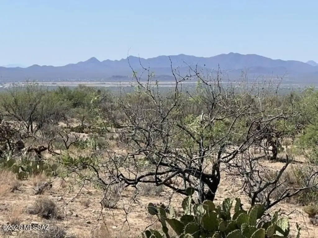 Picture 6