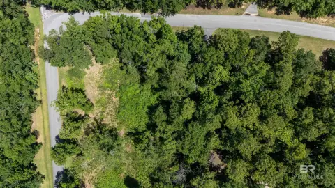 Residential Land in Bay Minette