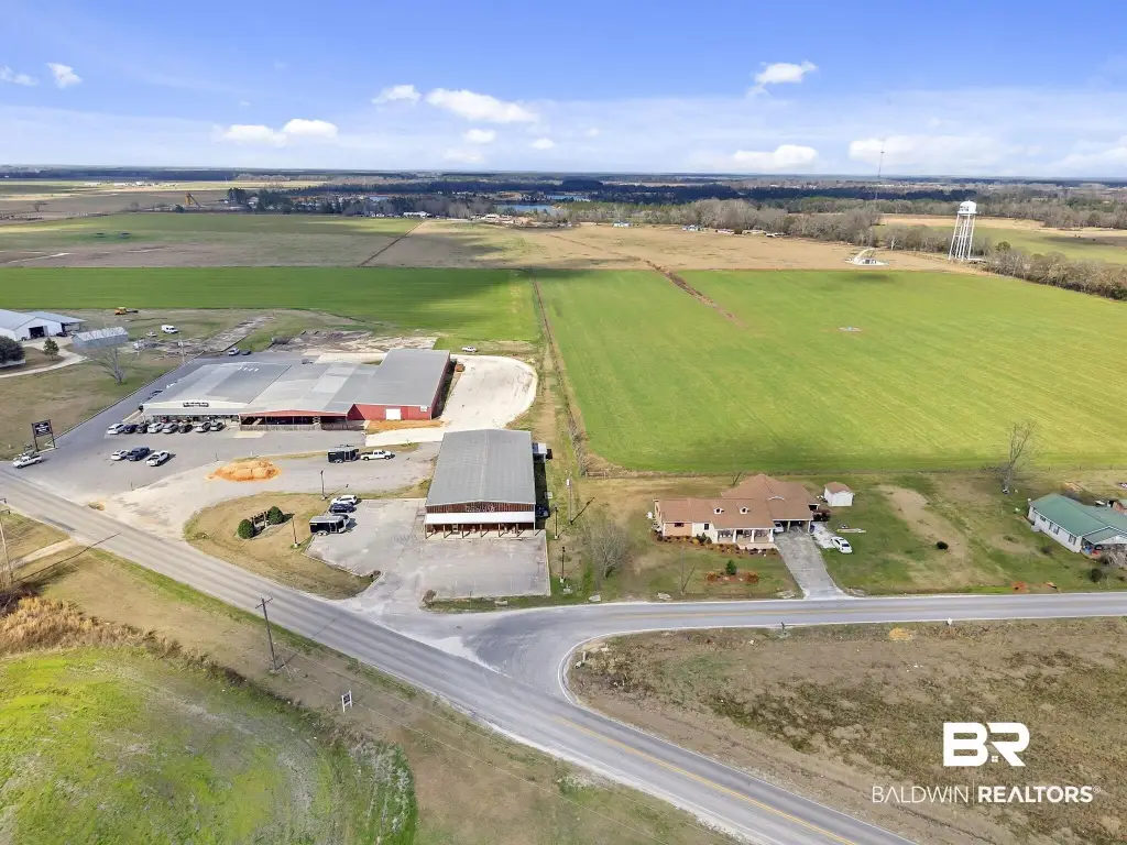 Picture 55