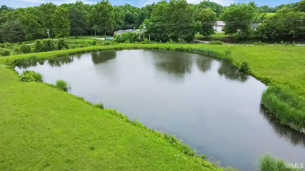 Picture 11