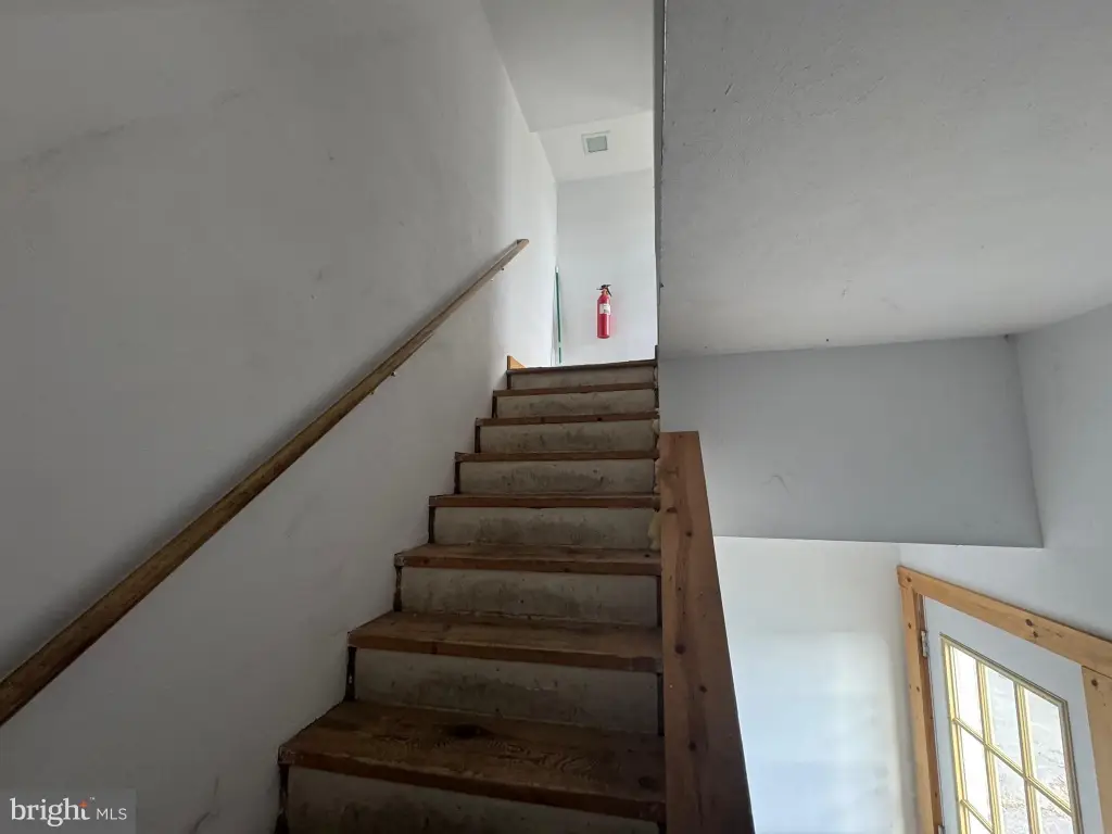 Picture 8
