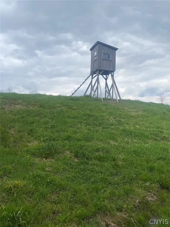 Picture 16