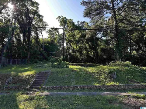 Residential Lot in East Lake