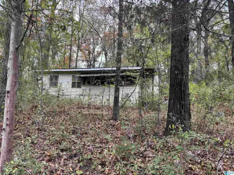 Residential Land in Wilsonville, AL