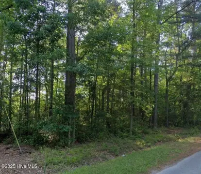 Wooded Lot in Emorywood Estates