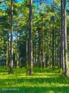 Homesite in Sailing Capital, NC