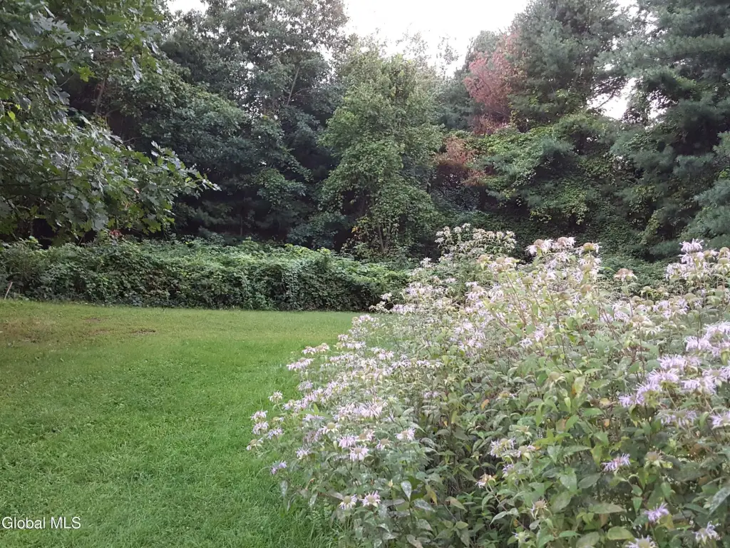 Picture 24