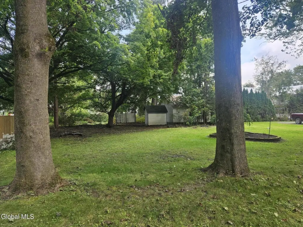 Picture 25
