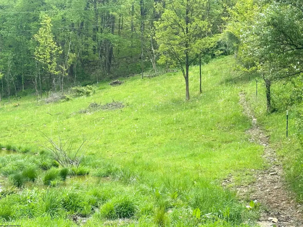 Picture 4