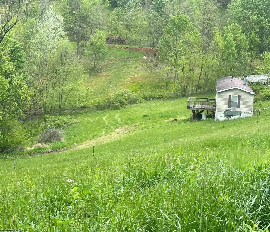 Picture 2
