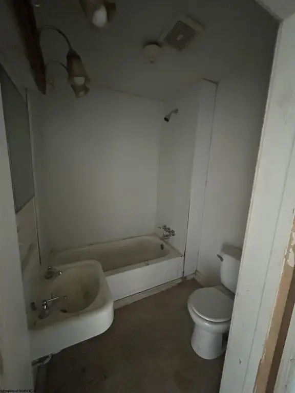 Picture 5