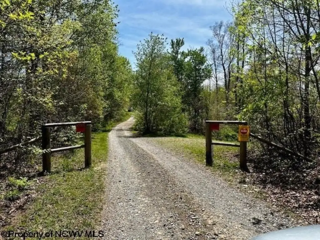 Picture 4