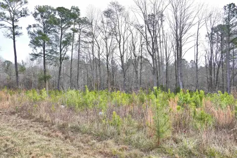 Spacious Residential Lot Near Gaffney