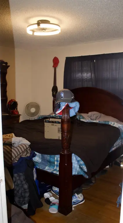 Picture 15