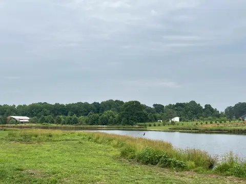 Boiling Springs Acreage with Pond