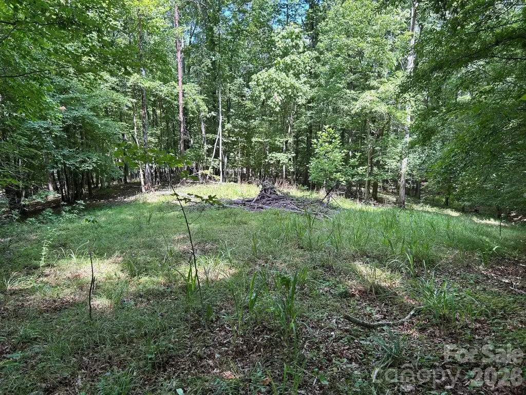 Picture 8