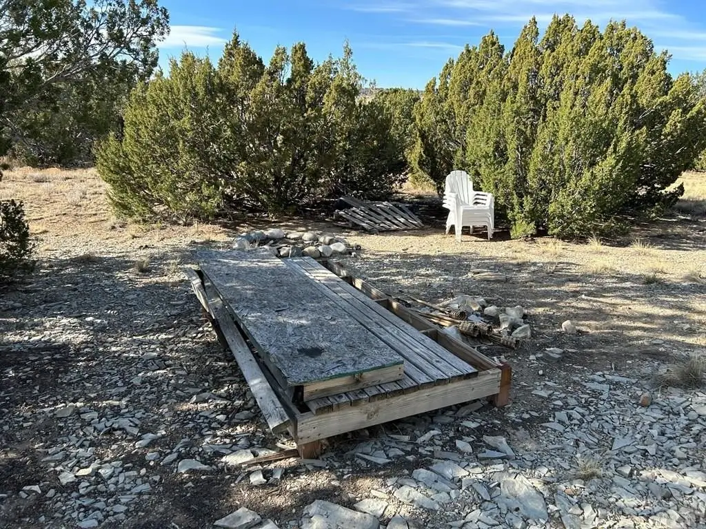 Picture 14