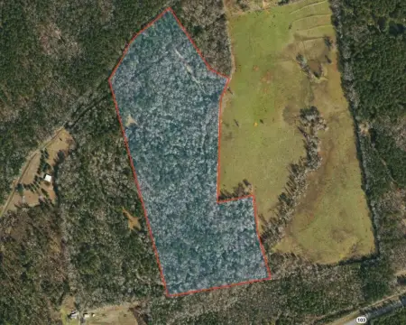48+ Acres of East Texas Land