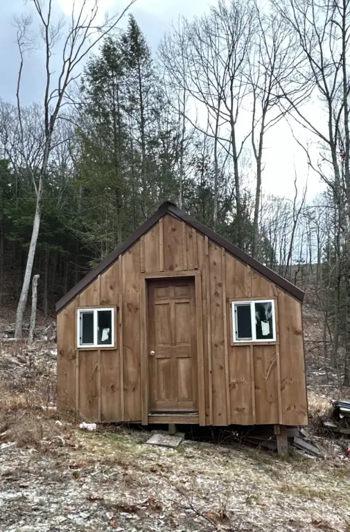 Picture 8
