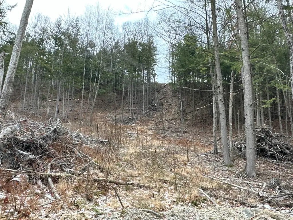 Picture 19