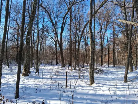 Secluded Land Near Namekagon River
