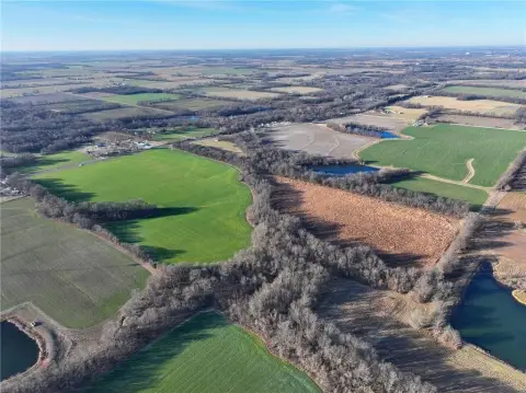 Productive Farmland Auction near Lamar, MO