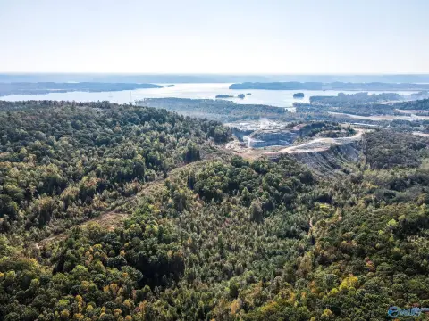 63 Acres Overlooking Lake Guntersville