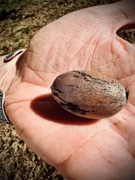 Vacant Lot in West Paris