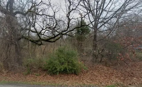 Residential Land in Tool, TX