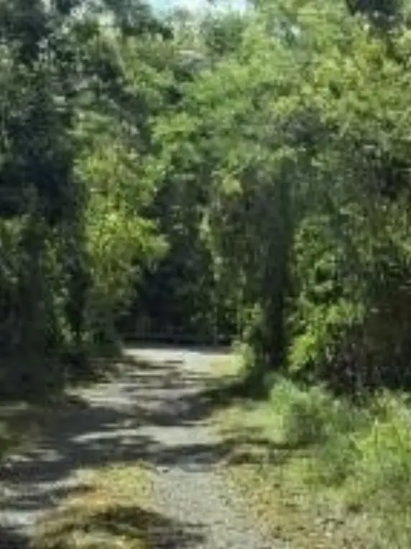 Picture 4