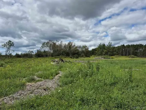 40 Acres Vacant Land Gulliver