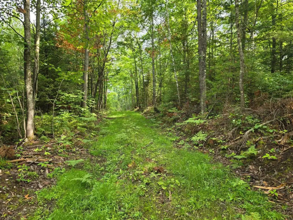 Picture 20