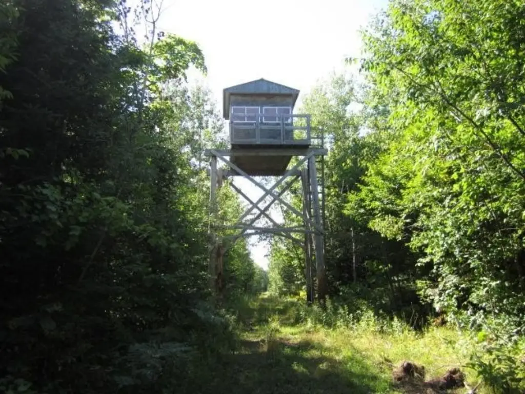 Picture 18