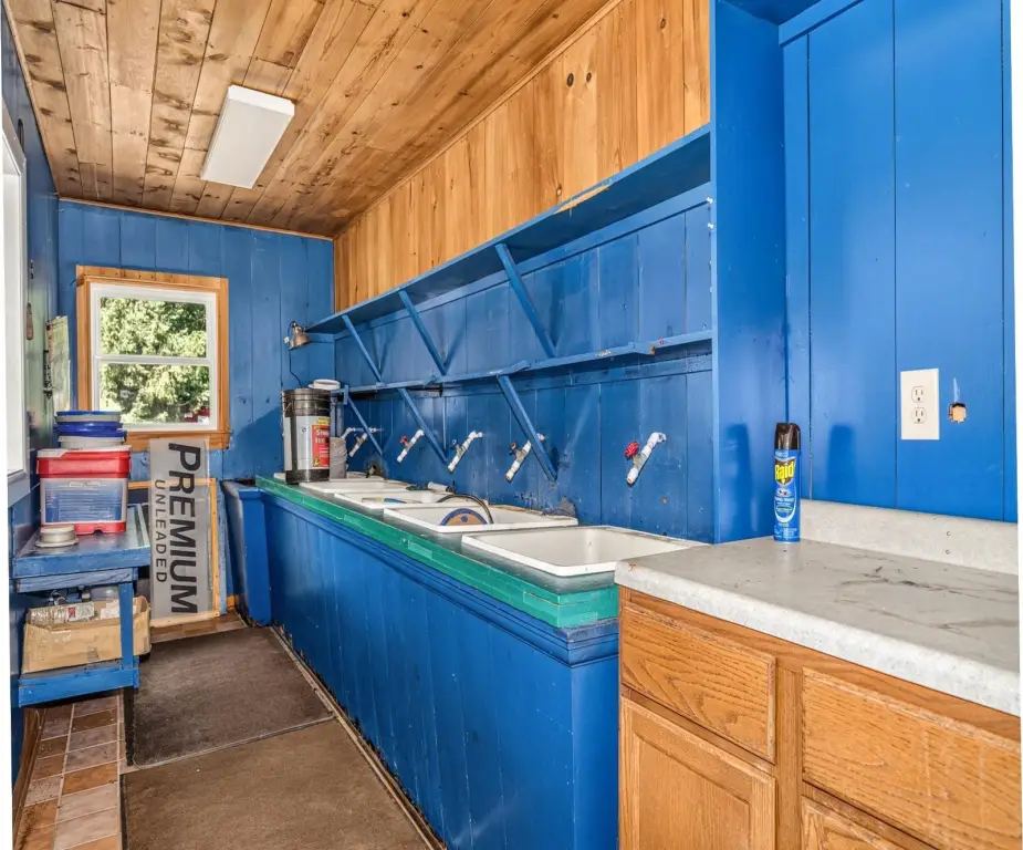 Picture 19