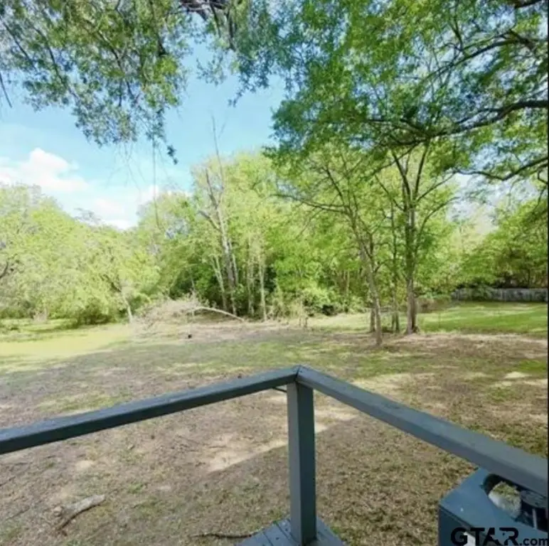 Picture 20