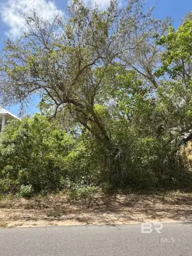 Residential Lots in Orange Beach