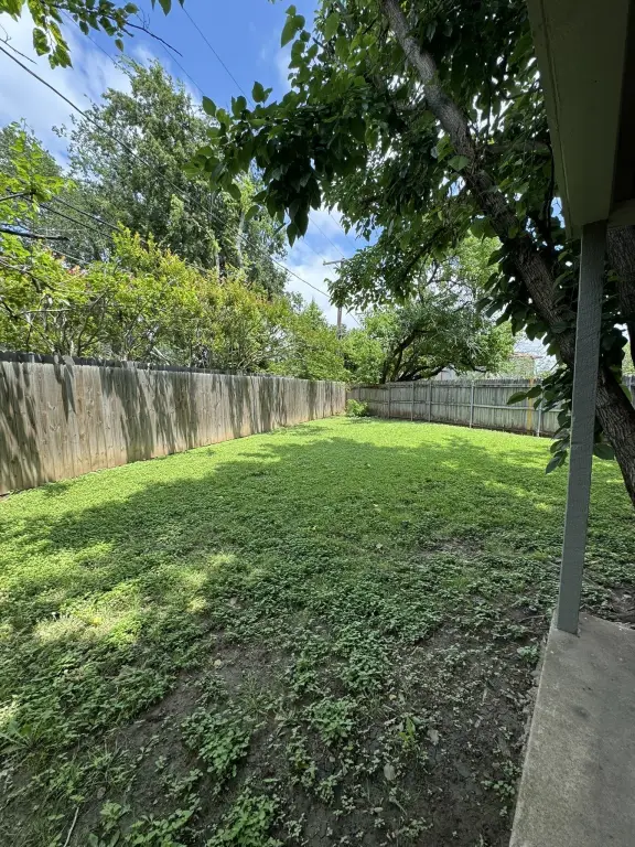 Picture 18