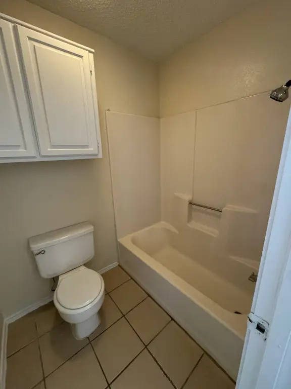 Picture 11