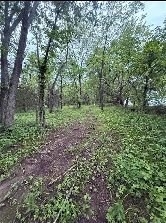 Picture 4